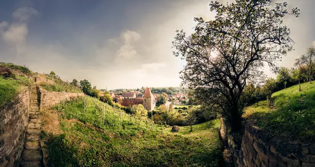 Panoramafoto vom Klosterberg mit Blick auf das Kloster Maulbronn